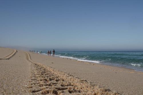 PHOTO-2022-07-31-14-55-32-Copia-4